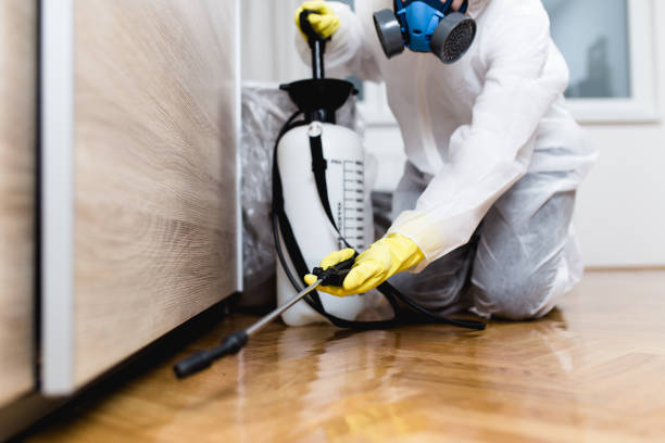 Best Cockroach Control Services  in Pink, OK