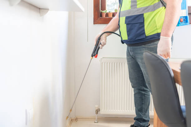 Best Ant Control Services  in Pink, OK