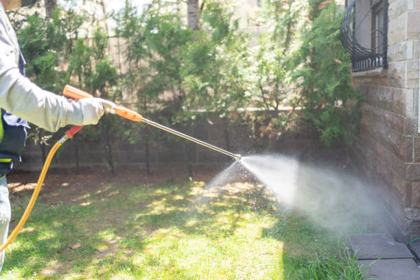 Best Pest Control Treatment  in Pink, OK