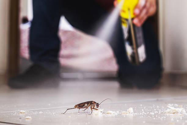 Best Residential Pest Control  in Pink, OK